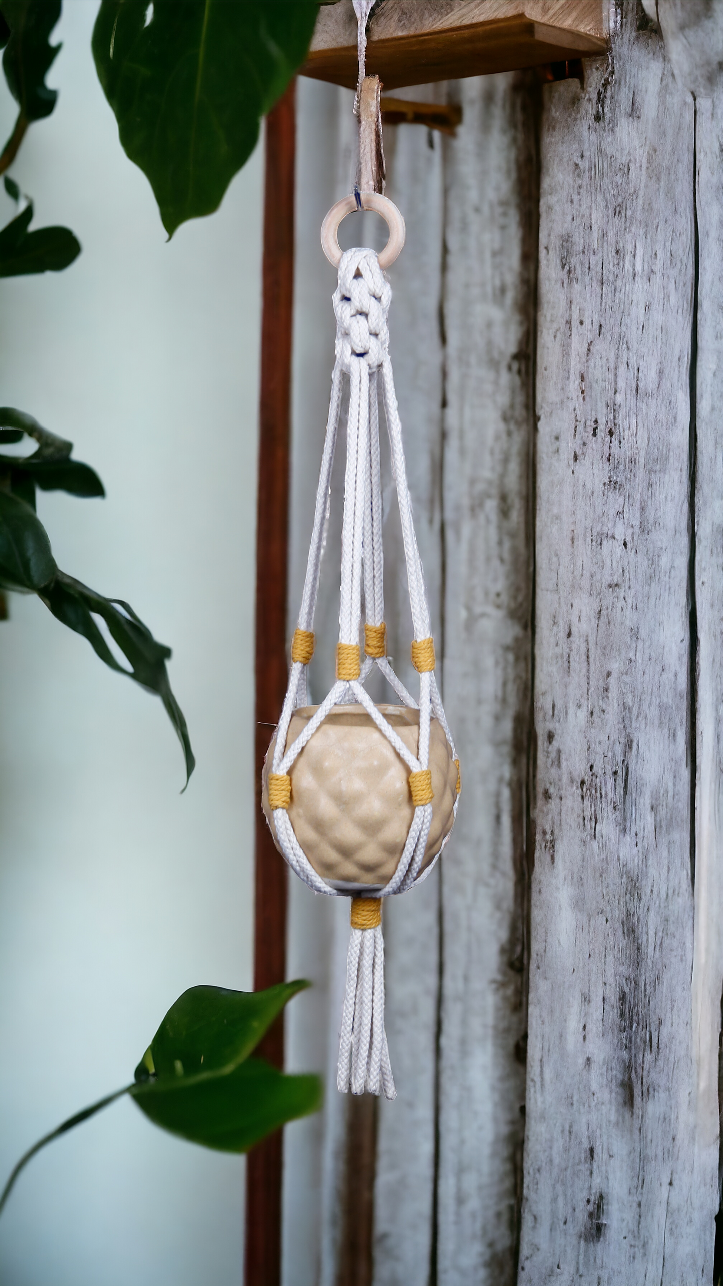 Macrame Plant Hanger - Sunny Serenity - 35 inches